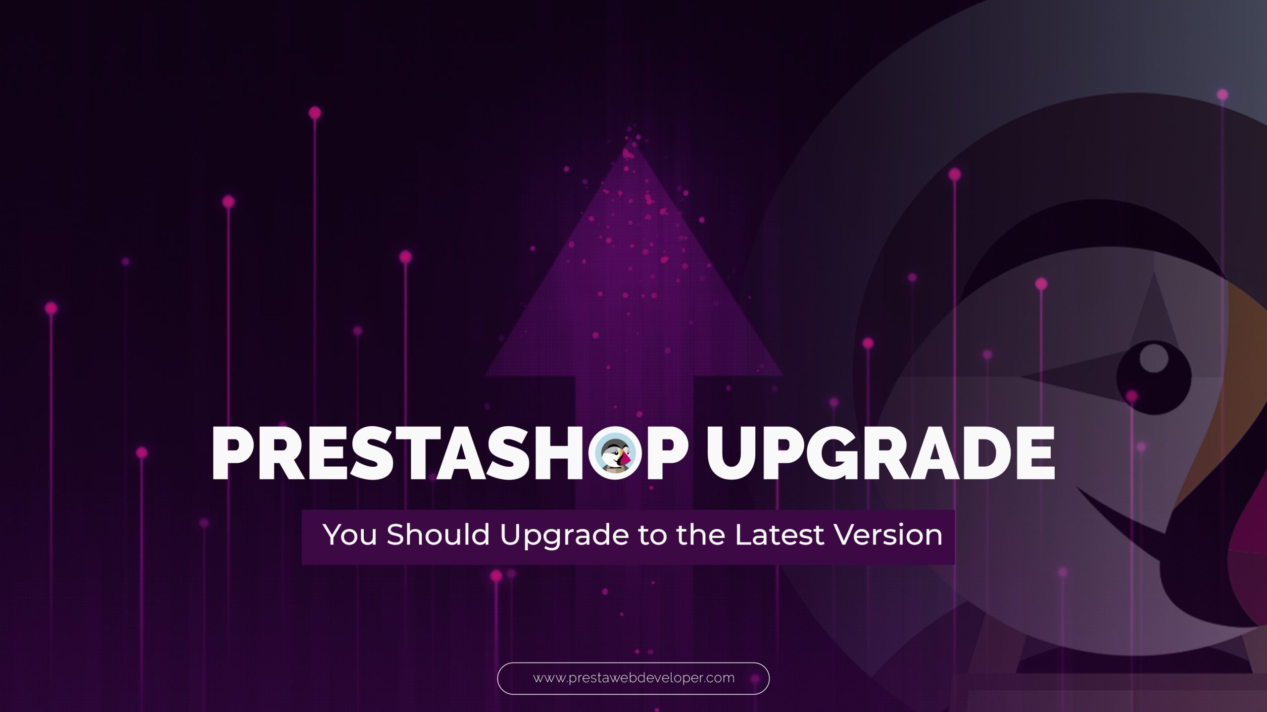 Prestashop Upgrade: Why You Should Upgrade to the Latest...